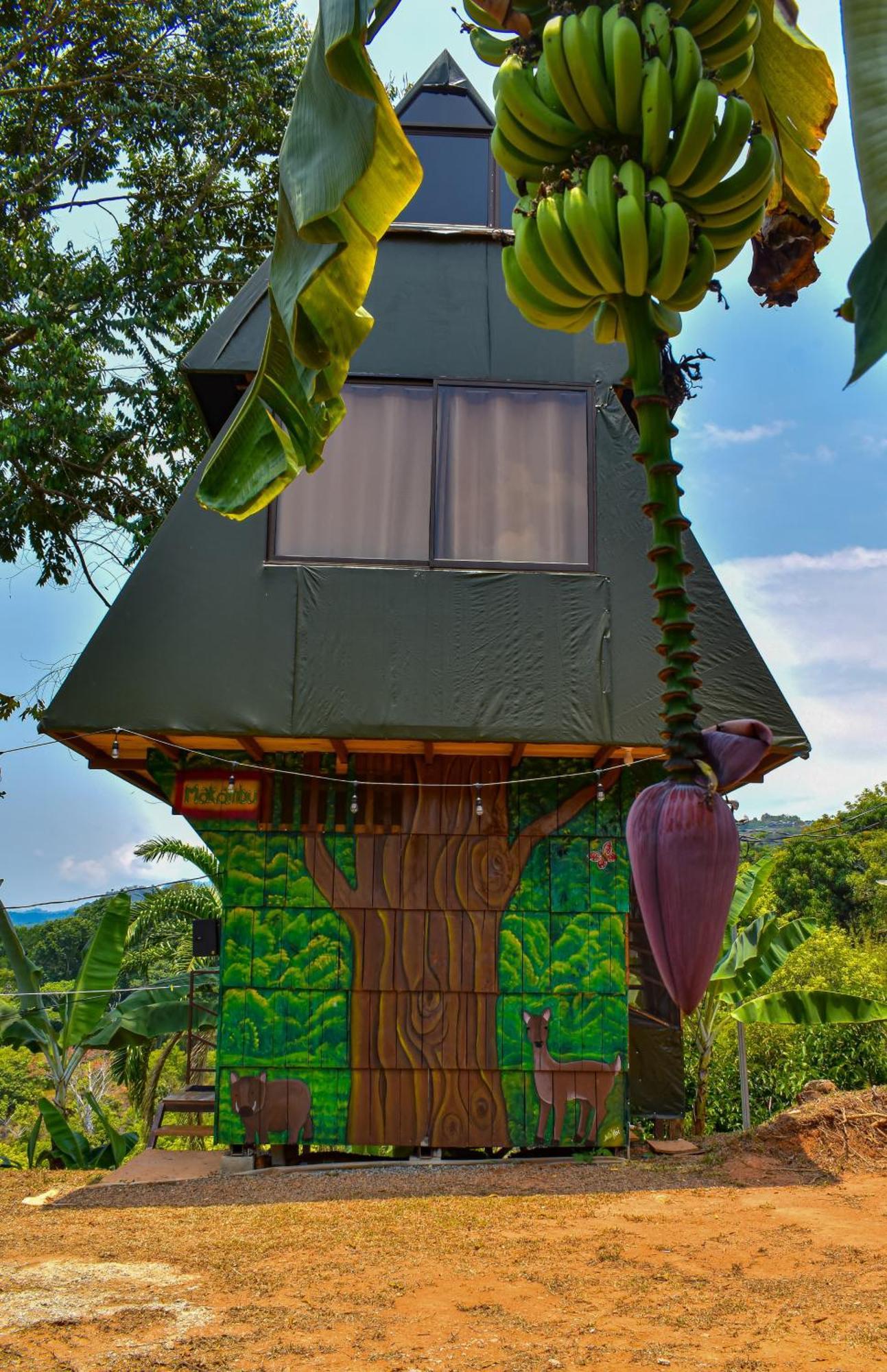 Makambu Platanillo